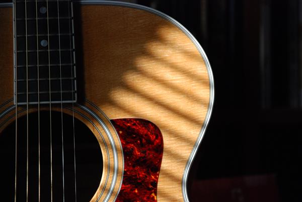 Acoustic Guitar
